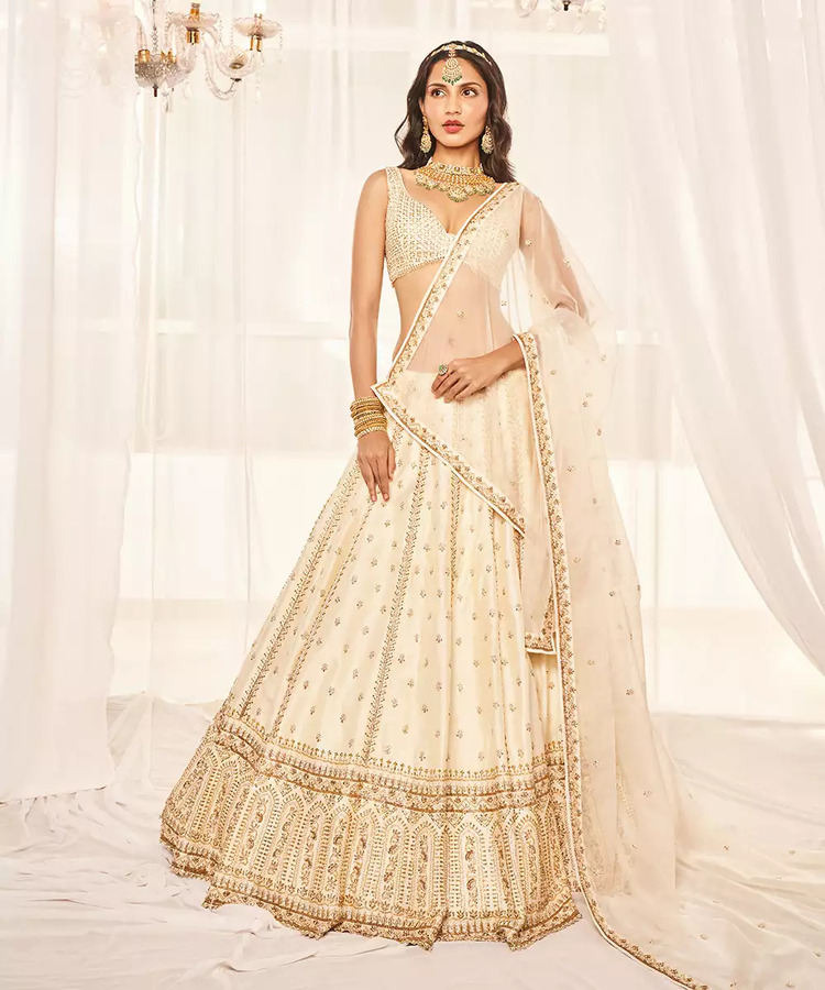 Disha Muchhala collection