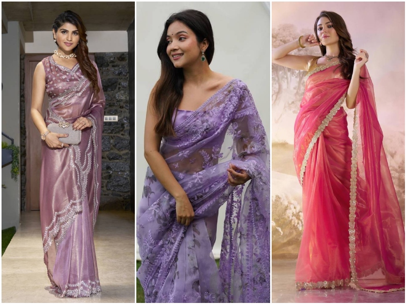 2026 Trending Organza Sarees